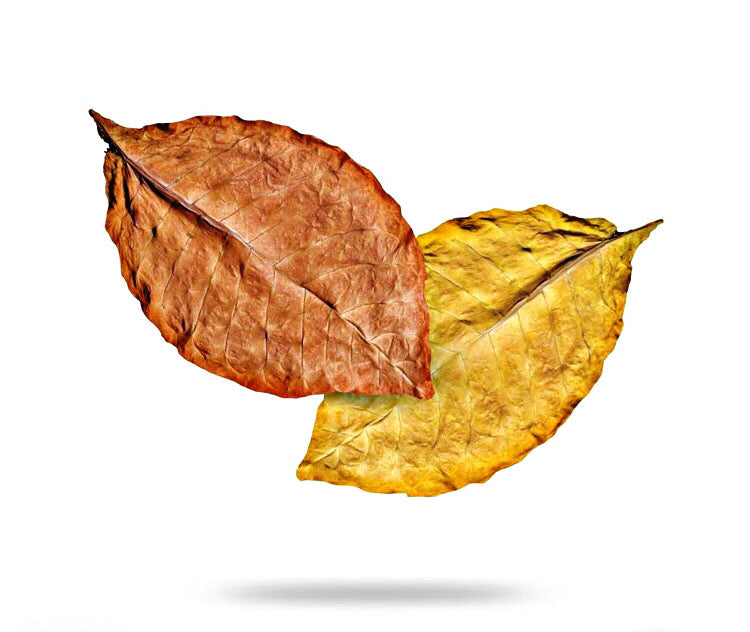 Burley and Virginia Blond Tobacco Leaf