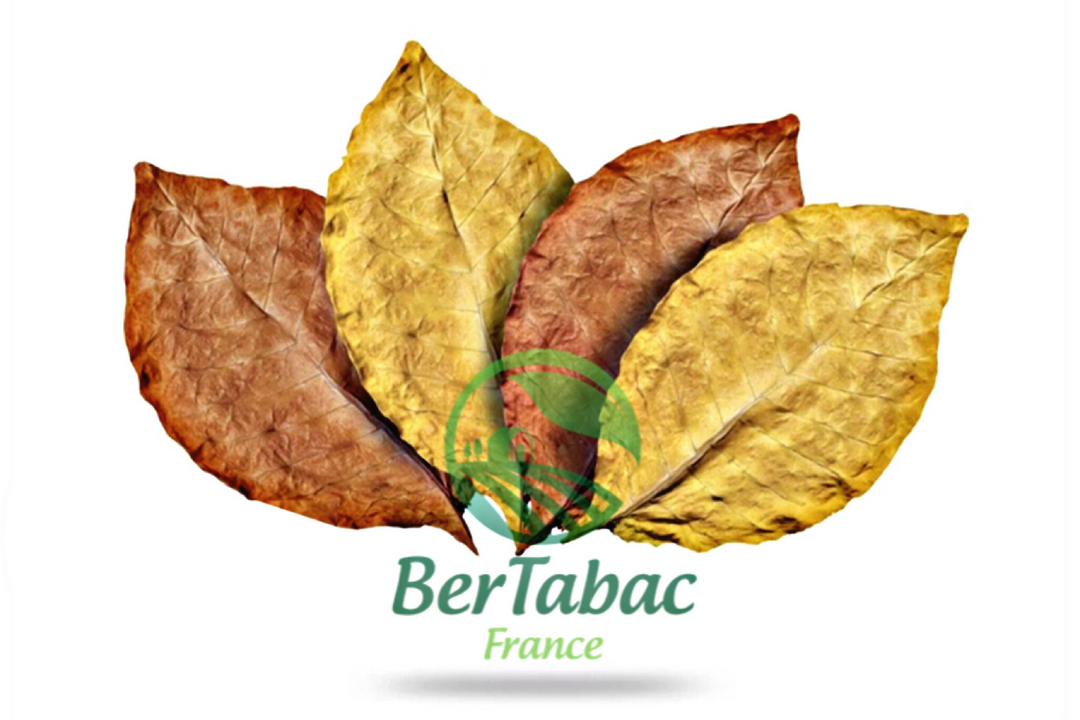 American blend tobacco leaves