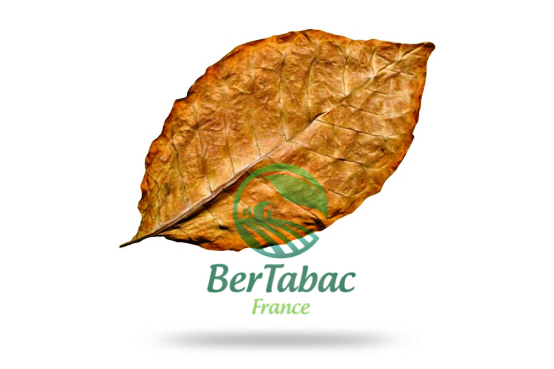 Oriental tobacco leaves
