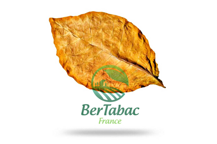 Virginia orange tobacco leaves